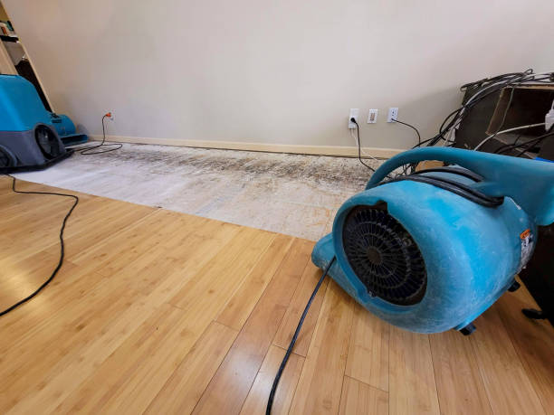 Professional Structural Drying technician working in Dimmitt, TX